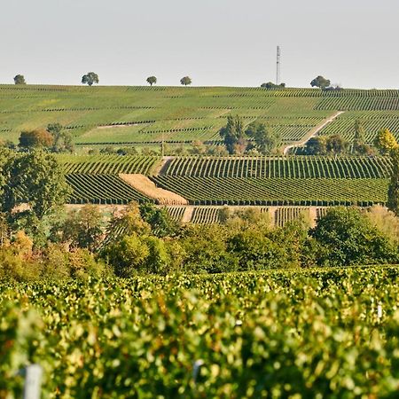Weingasthaus Wisser Billigheim-Ingenheim Exteriör bild