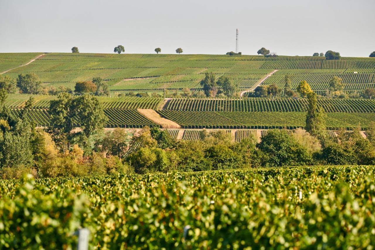 Weingasthaus Wisser Billigheim-Ingenheim Exteriör bild